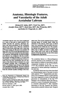 Anatomy, Histologic Features and Vascularity of the Adult Acetabular Labrum